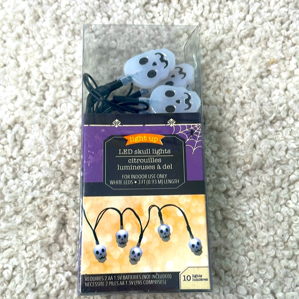 LED Light up Skulls Light Strand 3’ feet Indoor use only Halloween Decor